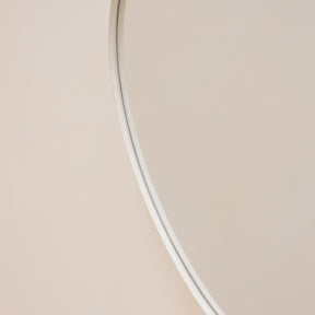 Ecru metal pond shaped irregular wall mirror closeup