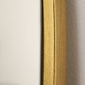 Gold Full Length Arched Metal Mirror frame