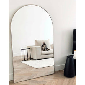 Champagne Full Length Arched Metal Mirror in living room reflecting dog